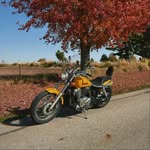 Austin Knutson - @vincibleleaf2 - Instagram