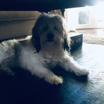 Austin Knutson - @knutson4898 - Instagram