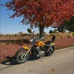 Austin Knutson - Facebook