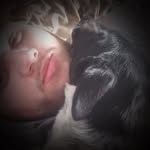 Austin Koster - @kosteraustin - Instagram