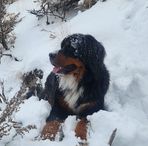 Austin Koster - Facebook