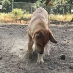 Austin Kramer - @kakramer23 - Instagram