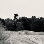 Austin Krawczyk - @atkrocket41 - Instagram