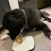 user7746597362502 - @austin.labelle - TikTok