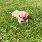 Austin Lafferty - @austinlafferty08_06 - Instagram