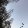 Austin Lafferty - @austin.lafferty0 - TikTok