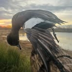 Austin Landers - Facebook