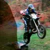 Austin.Lapointe - @austin.lapointe - TikTok