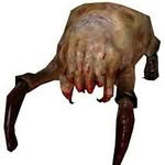 austin leonhardt - @toxic_man_1325 - Instagram