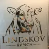 austinlindskov10 - @austinlindskov10 - TikTok