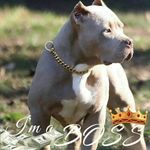 Austin Loucks - @bbear32487 - Instagram