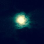 Austin Luck - @me.austin.l - Instagram