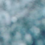 austin madrid - @austinlamadrid13 - Instagram