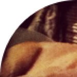 Austin Maida - @minecraftaustin0909 - Instagram