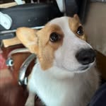 Austin Mao - @austin.mao - Instagram