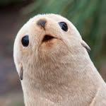 austinmao - @austingoesmao - Instagram