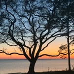 austin marks - @austin_marks1234 - Instagram