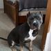 Austin McCabe - Facebook