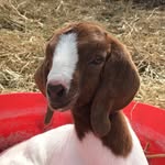 Austin McCracken - @austin_mccracken406 - Instagram