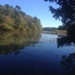 Austin Medeiros - @finsta.agm - Instagram
