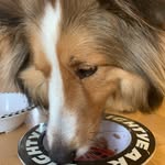 Austin Minor - @austinminor420 - Instagram