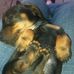 Austin Mix - Facebook