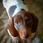Austin Mix - @austin.mix.3 - Instagram