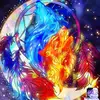 Alpha Wolf - @austinmorrison2002 - TikTok