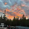 austinmf_morrison - @austinmf_morrison - TikTok