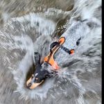 Austin Morse - @austinmorse294 - Instagram