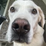 Austin Mullins - @austinmullins54 - Instagram