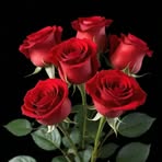 Austin Paschal - Facebook