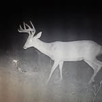Austin Paschall - @paschallaustin - Instagram