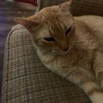 Austin Patrick - @awesome_austin29 - Instagram