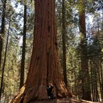 Austin Pollard - @apollard.413 - Instagram