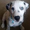 Austin Pollard - @austin.pollard0 - TikTok