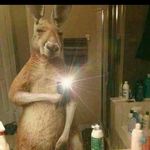 @austin_pollard_ - Instagram