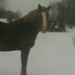 Austin Pulley - @austin_pulley - Instagram