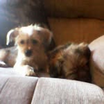 Austin Pulliam - @austinaustin456 - Instagram