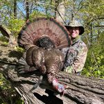 Austin Raines - @austinraines - Instagram