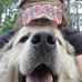 Austin Raines - Facebook