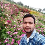 Austin Rashi - @austinrashi - Instagram