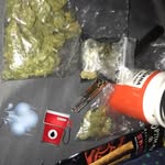 Austin Roach - @austinroach41 - Instagram