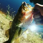 Austin Roberson - @robertaustin1304 - Instagram