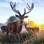Austin_roberson - @baseball.austin_ - Instagram