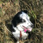 Austin Roberson - @austin_steel20 - Instagram