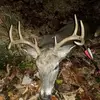 Austin Roberson - @austin.roberson8 - TikTok