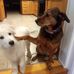 Austin Robillard - Facebook