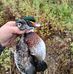 Austin Rumsey - Facebook