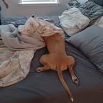 Austin Rupp - @rupp4805 - Instagram